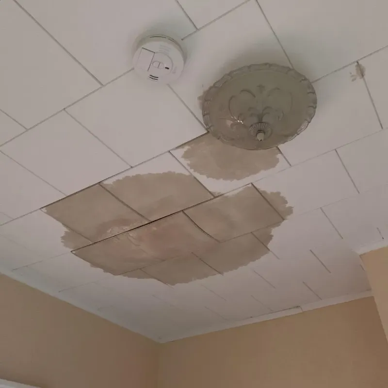 Ceiling Water Damage Repair in Franklinton, NC