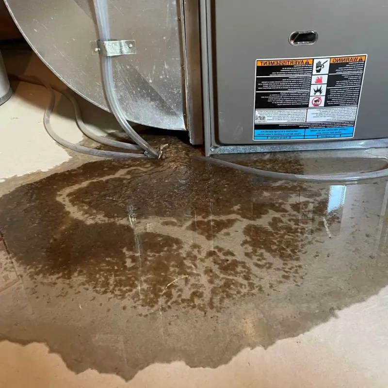 Pipe Burst and Leak Restoration in Franklinton, NC