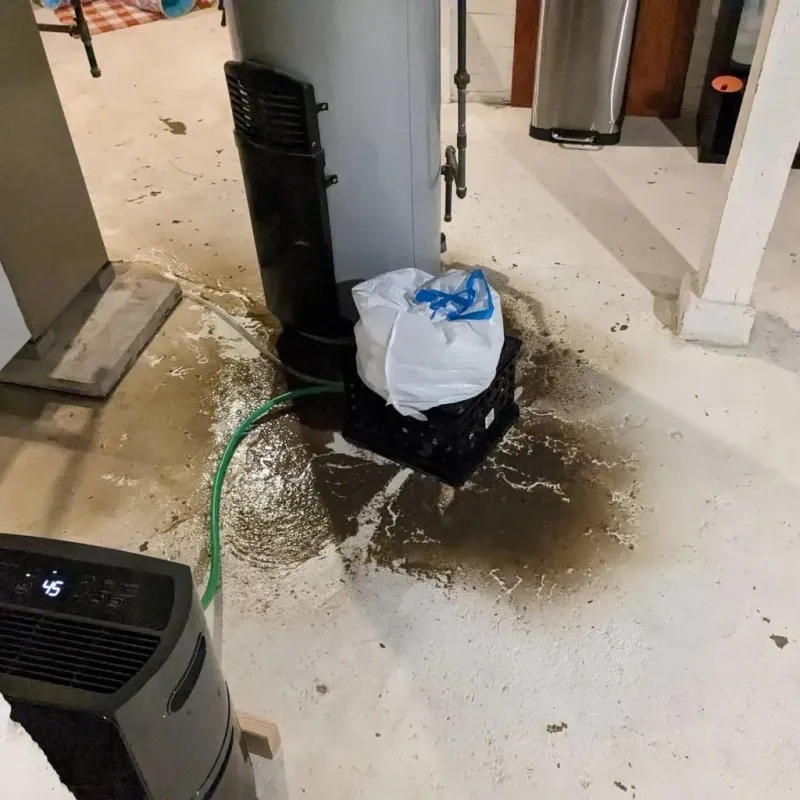 Sewage Backup Cleanup Service in Franklinton, NC